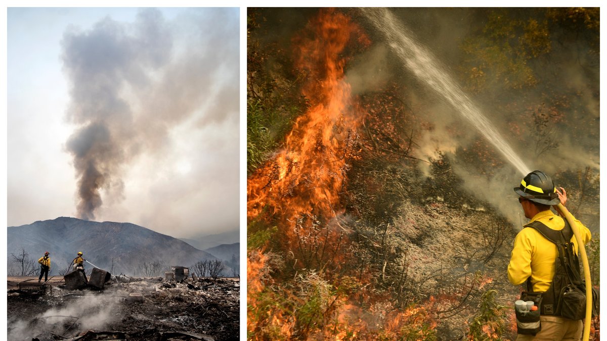 Skogsbranden ödelade 9 300 hektar i Kalifornien.